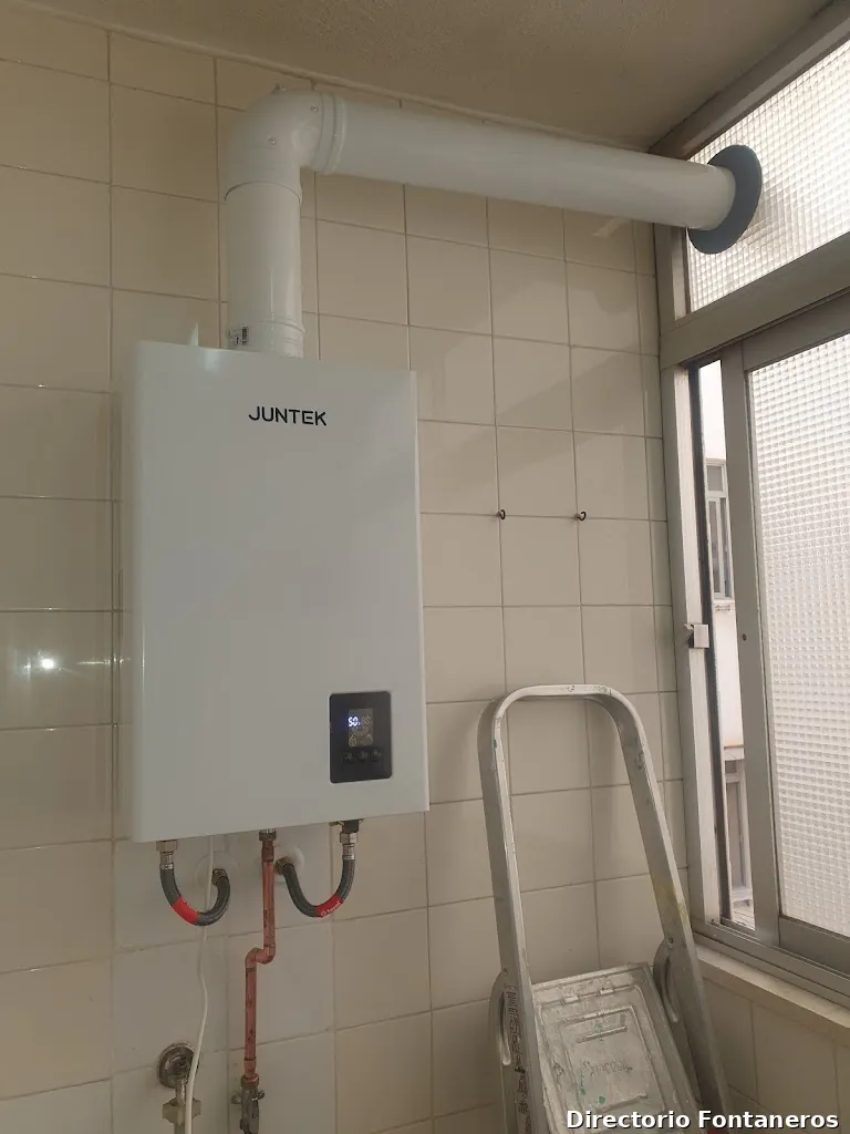 FONTANERIA DEL HOGAR (FRANCIS)