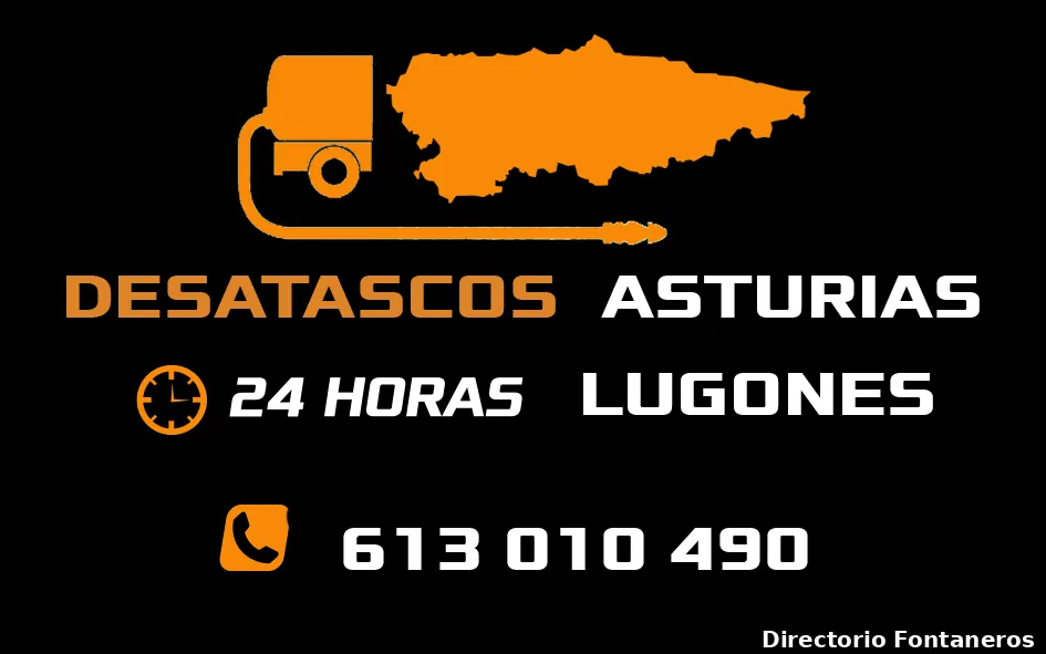 Desatascos Asturias Lugones