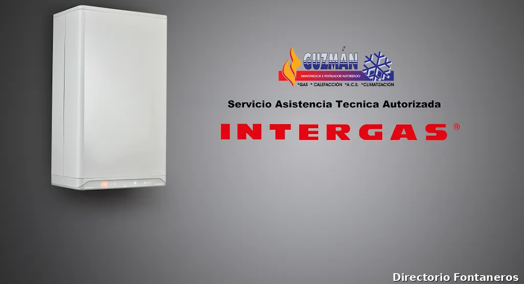 Guzman, Instalaciones y mantenimientos