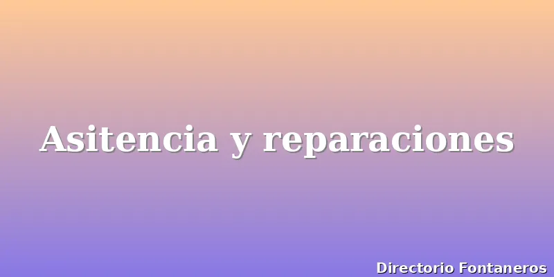 Asitencia y reparaciones