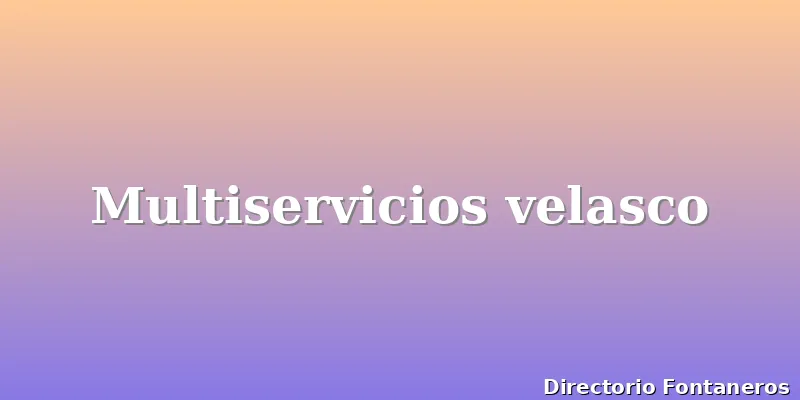 Multiservicios velasco