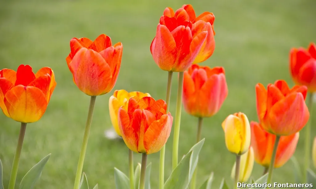 Instal.lacions Masip