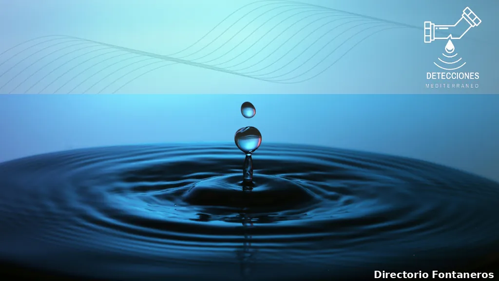 Detecciones Mediterráneo