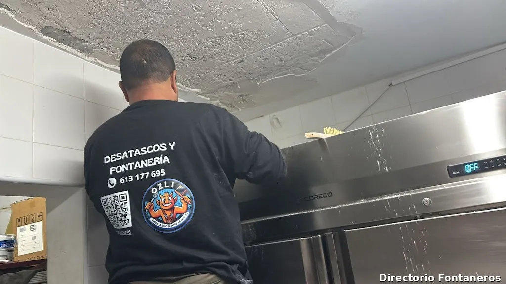 DesatascosLanzarote Ozli