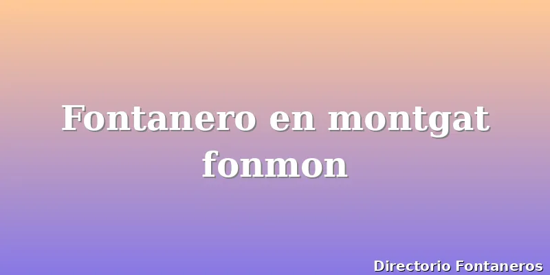 Fontanero en montgat fonmon