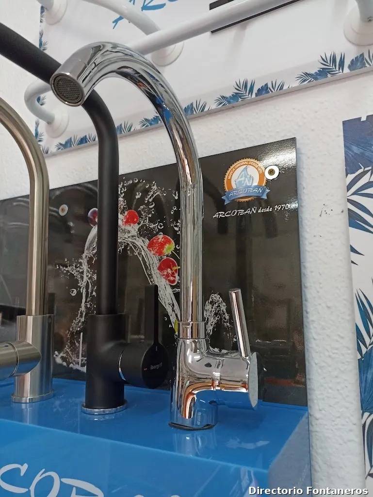 Fontanero Leonardo Ruiz