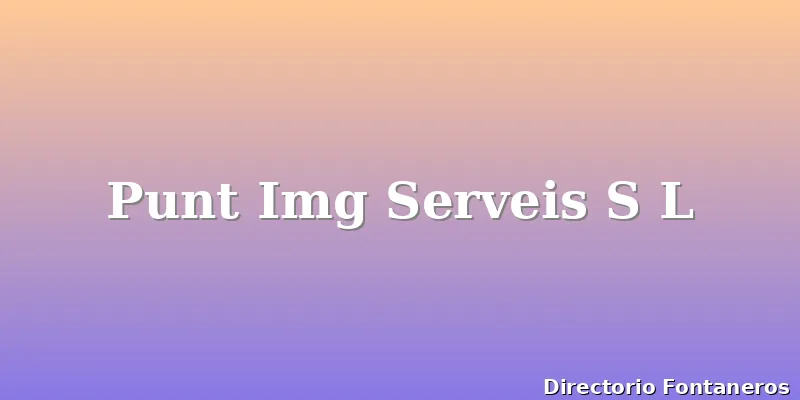 Punt Img Serveis S L