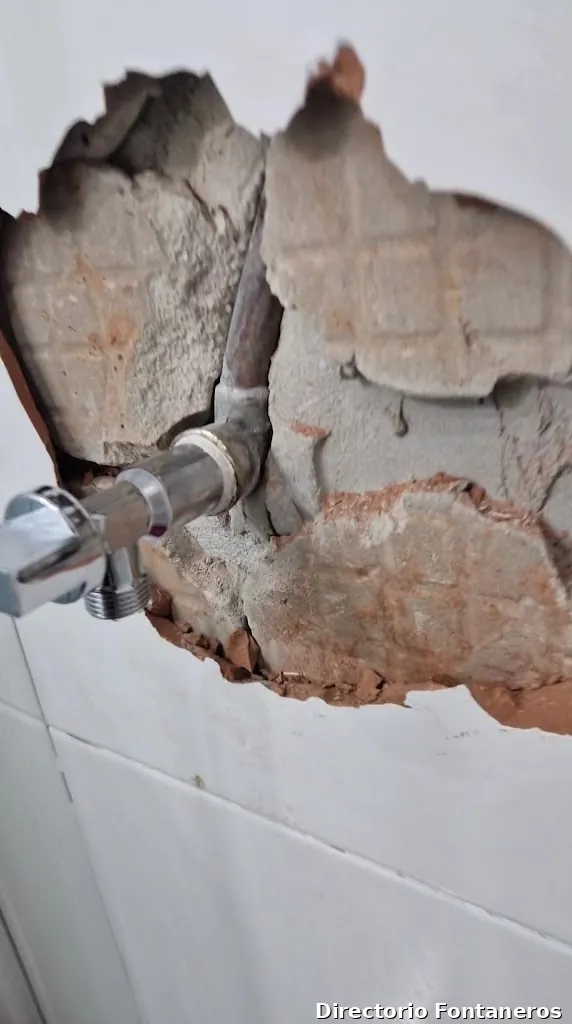 Fontanero,Lampista,electricista