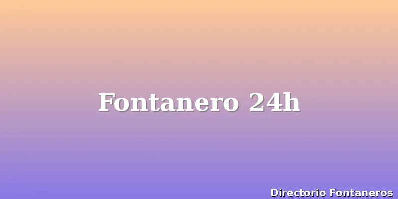 Fontanero 24h