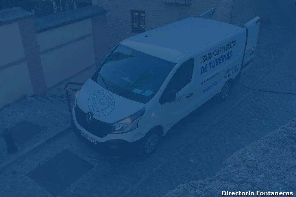 Desatranques Fernando