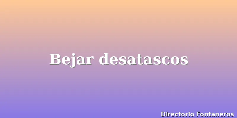 Bejar desatascos