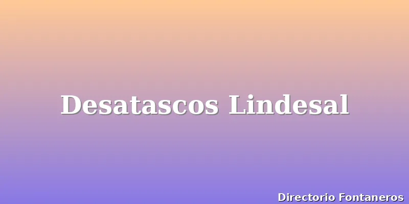 Desatascos Lindesal