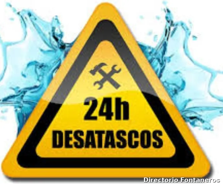 FONTANERO Y DESATASCOS PEDRO TM