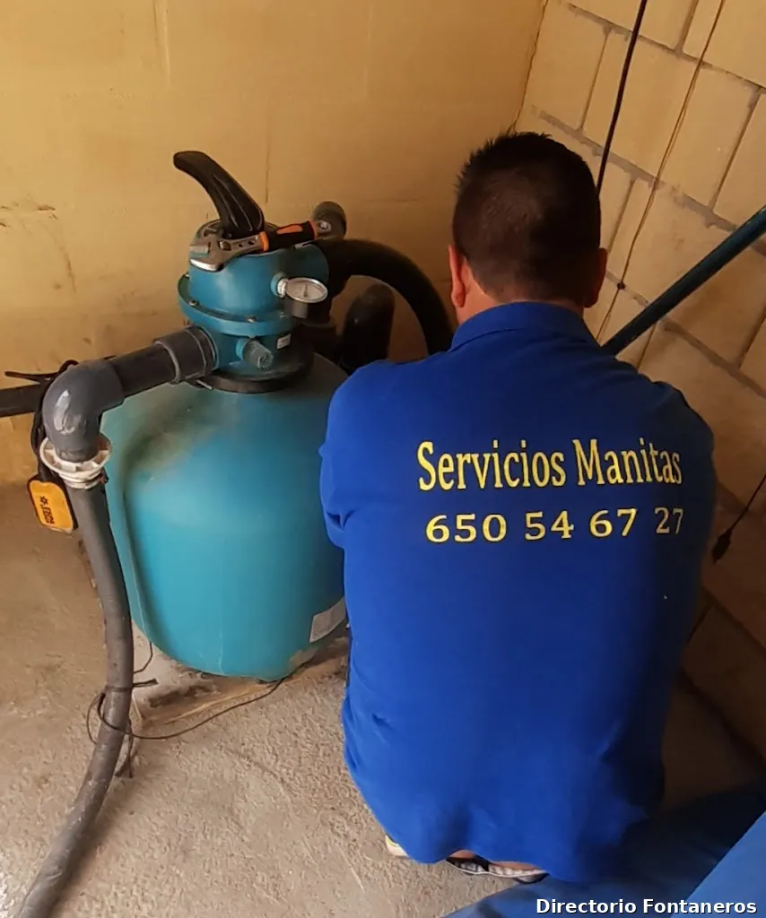 Servicios manitas