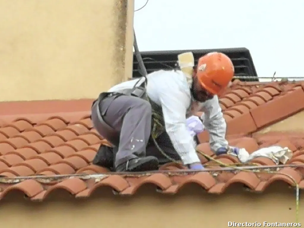 Servicios Majadahonda