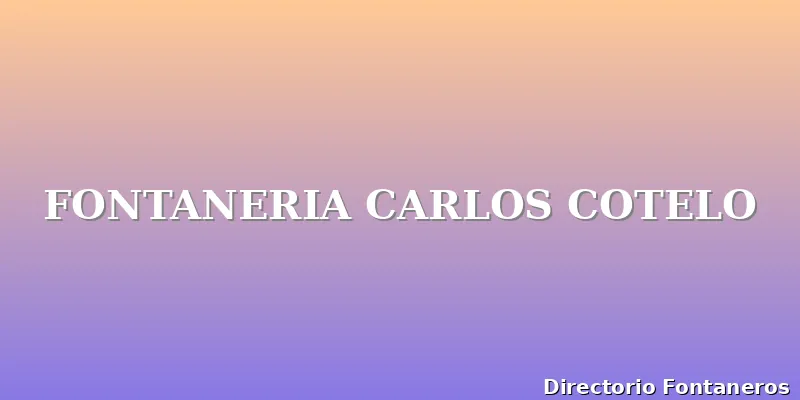 FONTANERIA CARLOS COTELO