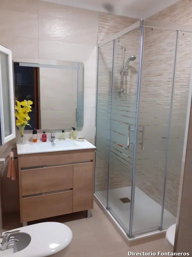 Saneamientos Gallardo