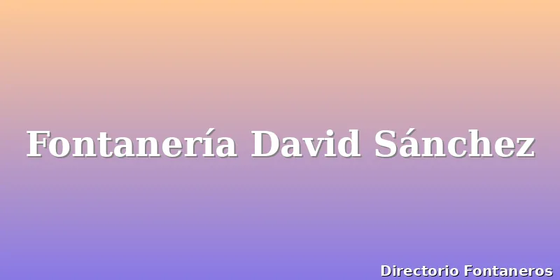 Fontanería David Sánchez