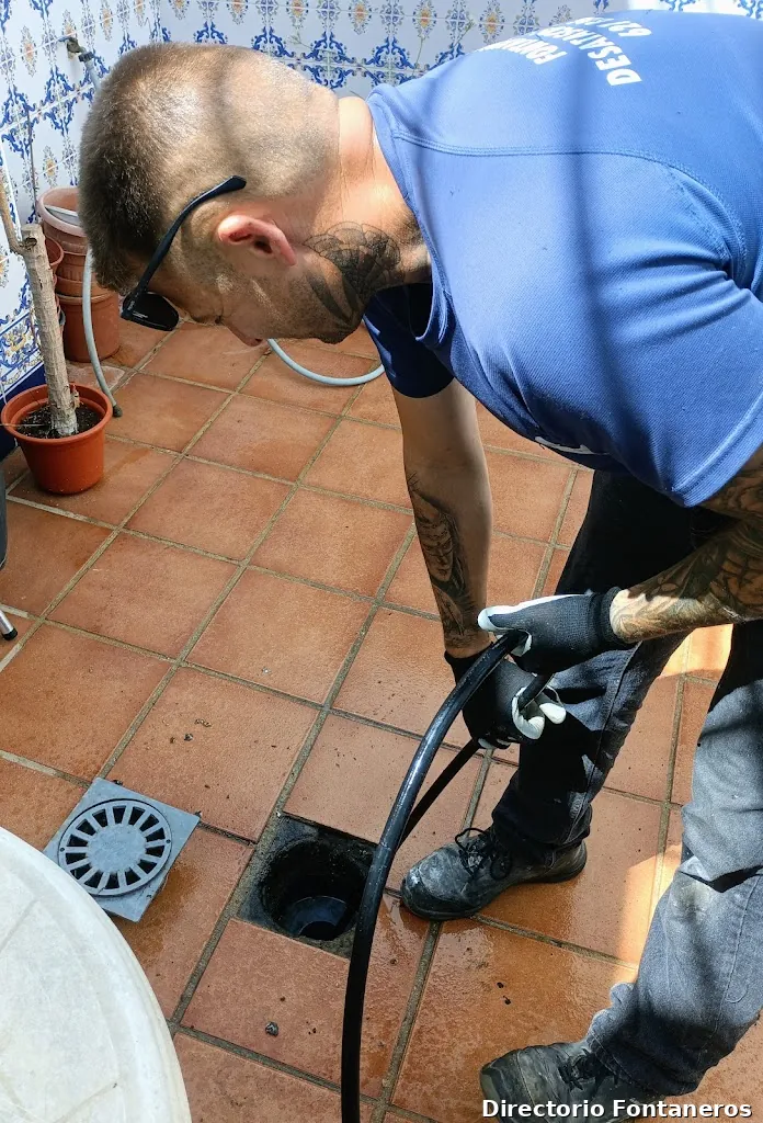 Fran Bernal Desatascos