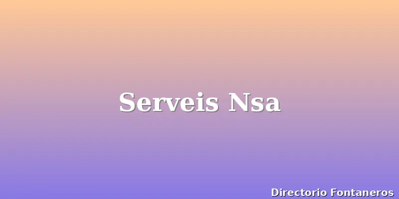 Serveis Nsa