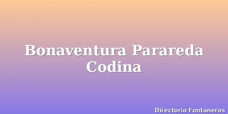 Bonaventura Parareda Codina