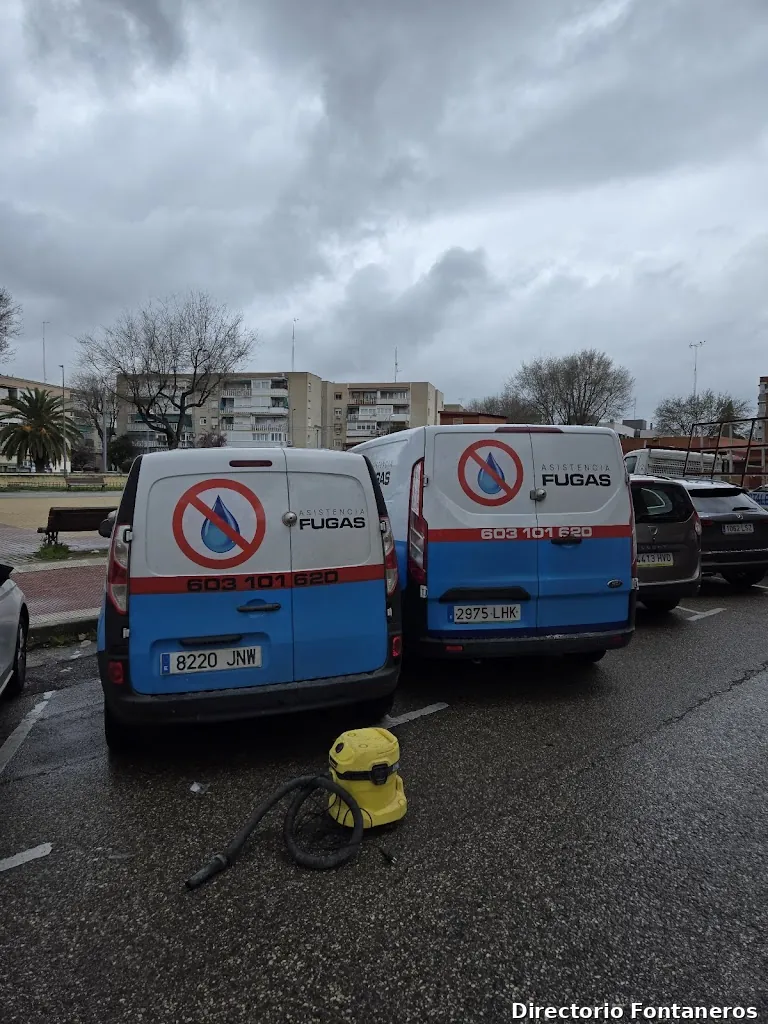 ASISTENCIA FUGAS S.L. – Detección y Reparación de Fugas de Agua