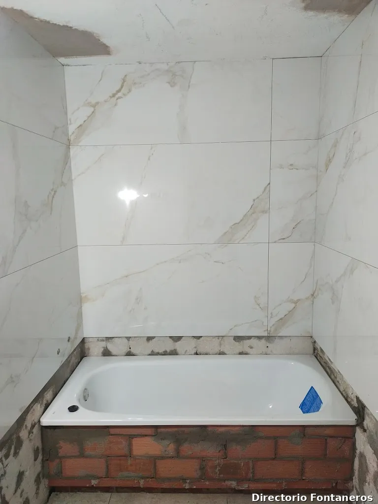 Evolutio Reformas Integrales