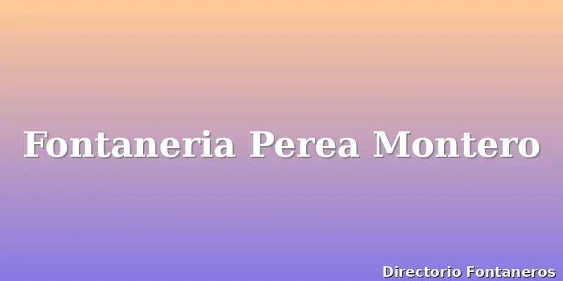 Fontaneria Perea Montero