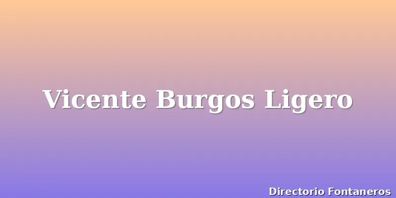Vicente Burgos Ligero