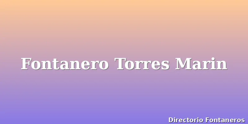 Fontanero Torres Marin