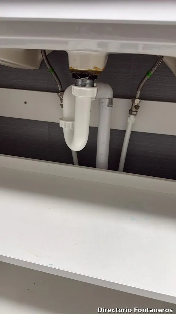 Cruz Perdomo Rodolfo