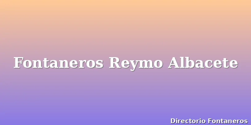 Fontaneros Reymo Albacete