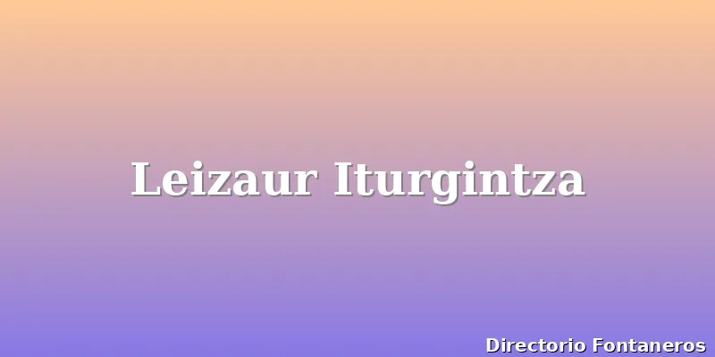 Leizaur Iturgintza