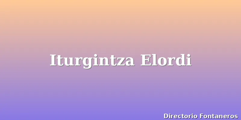 Iturgintza Elordi