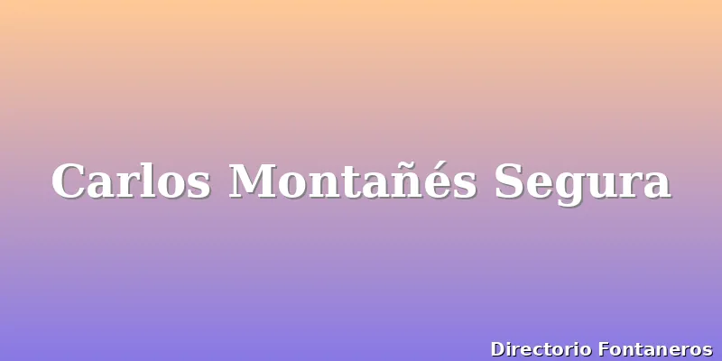 Carlos Montañés Segura