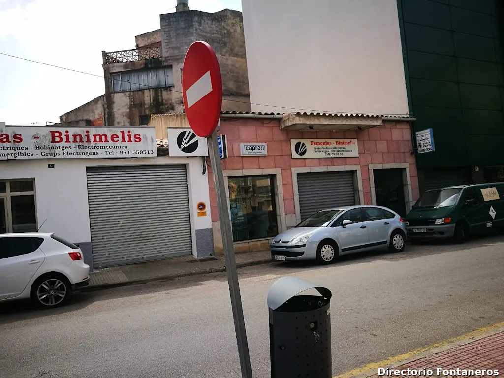 Instal·lacions Femenias Binimelis