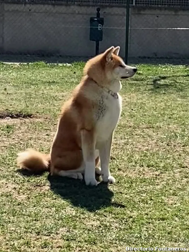 Miguel Angel Abajo Mata