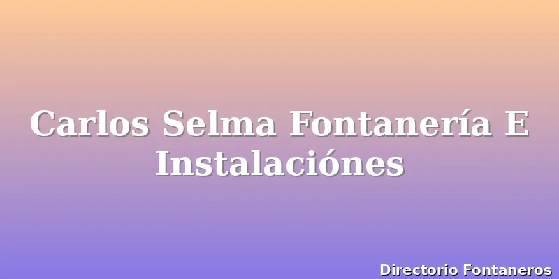 Carlos Selma Fontanería E Instalaciónes