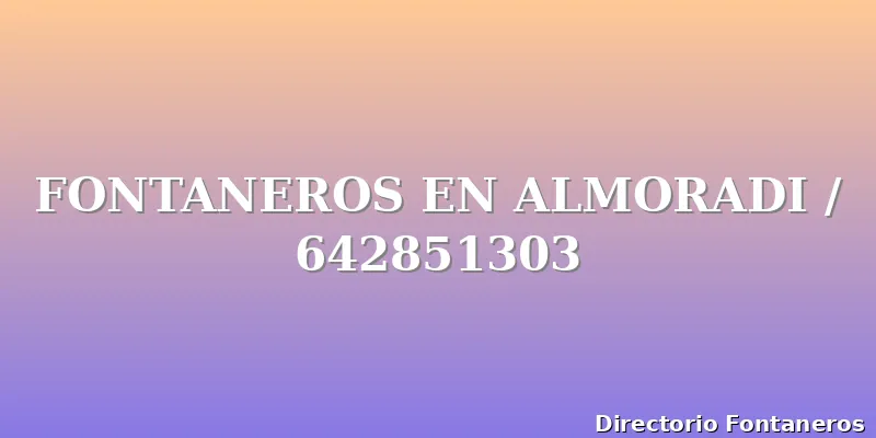 FONTANEROS EN ALMORADI / 642851303