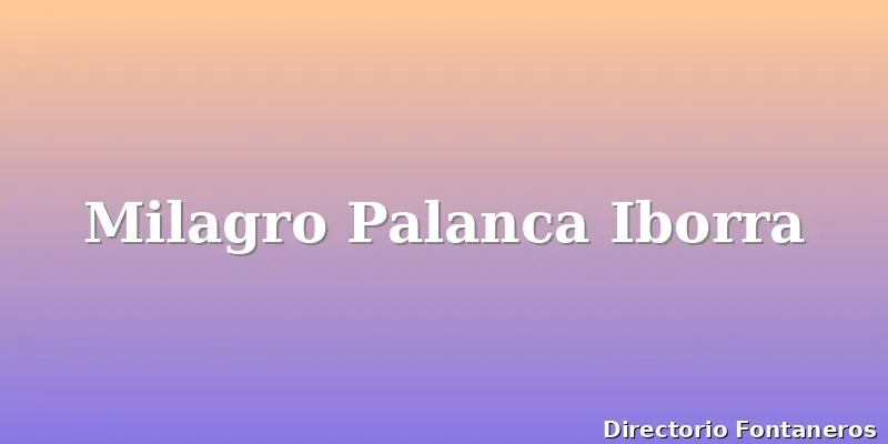 Milagro Palanca Iborra