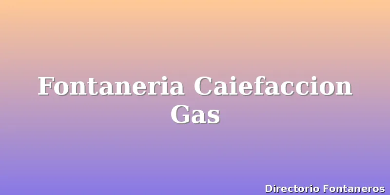 Fontaneria Caiefaccion Gas
