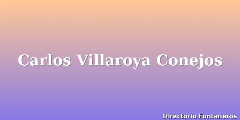 Carlos Villaroya Conejos