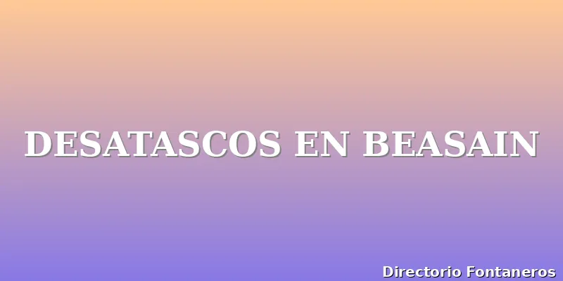 DESATASCOS EN BEASAIN