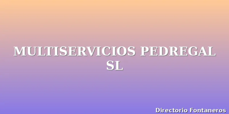MULTISERVICIOS PEDREGAL SL