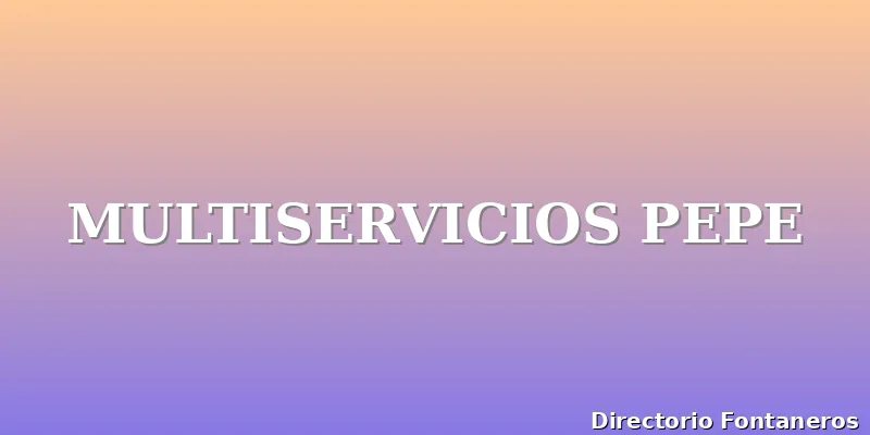 MULTISERVICIOS PEPE