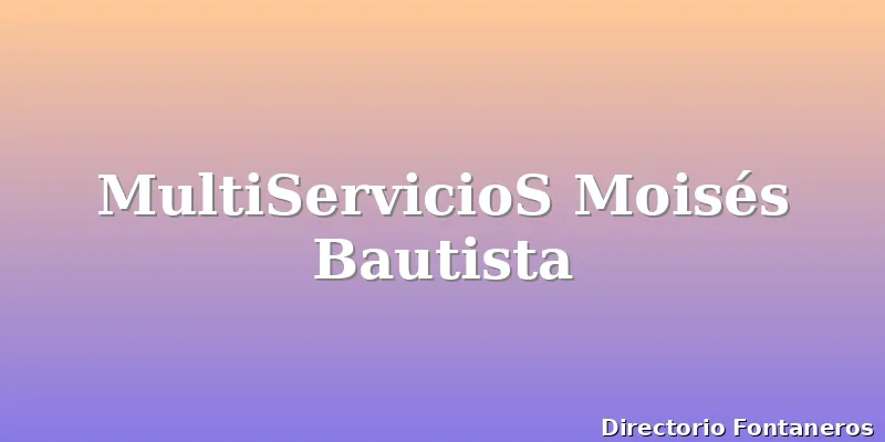 MultiServicioS Moisés Bautista