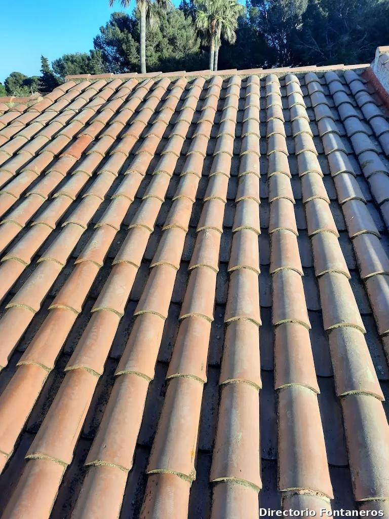 Multiservicios y Reformas Integrales