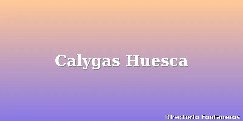 Calygas Huesca