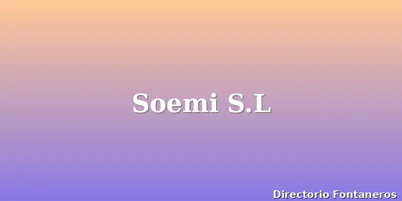 Soemi S.L