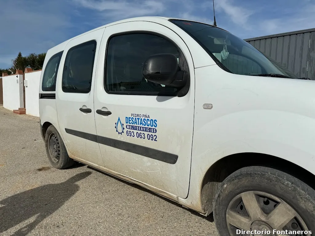 Pedro Piña Desatascos y Multiservicio